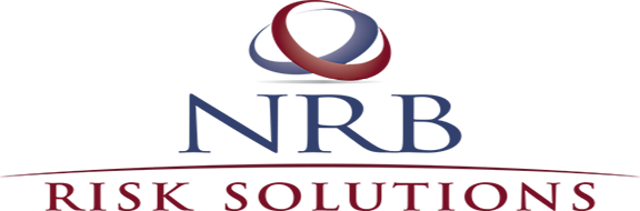 NRB Risk logo